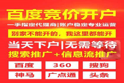 百度竞价代运营成功案例解析